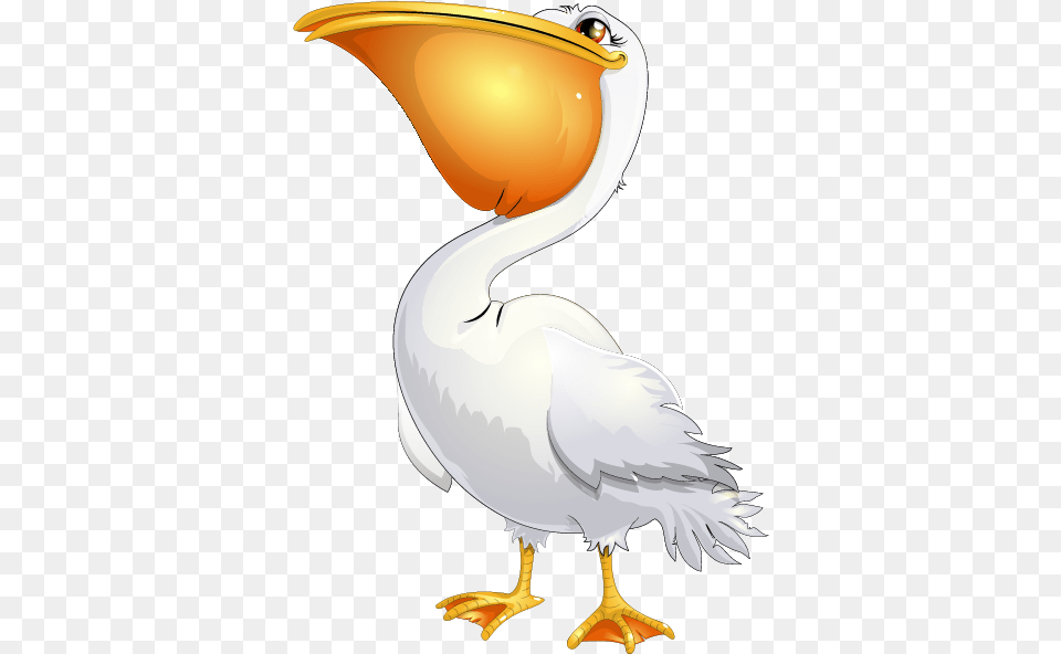 Pelican Pelican Cartoon, Animal, Bird, Waterfowl, Fish Png