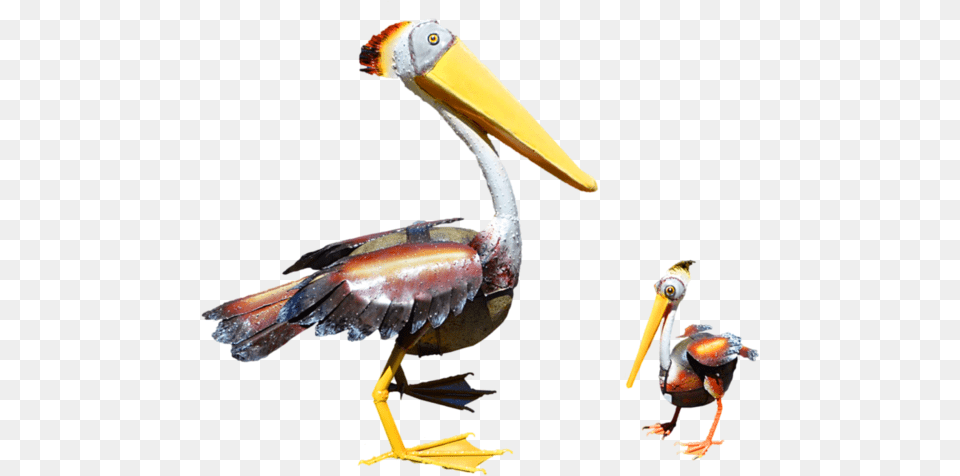 Pelican Products Toucan Fauna Beak Brown Pelican, Animal, Bird, Waterfowl Free Transparent Png