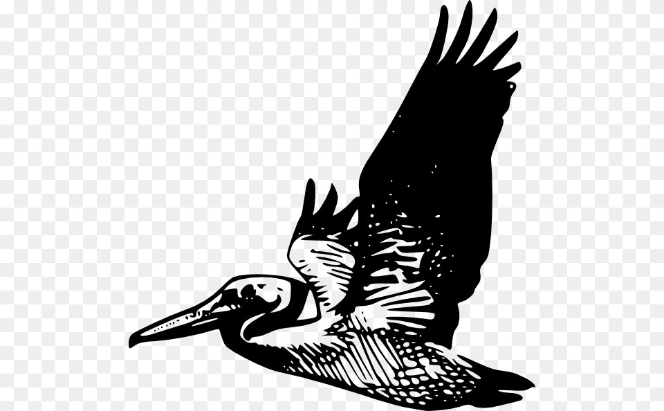 Pelican Silhouette, Animal, Bird, Waterfowl, Goose Png Image