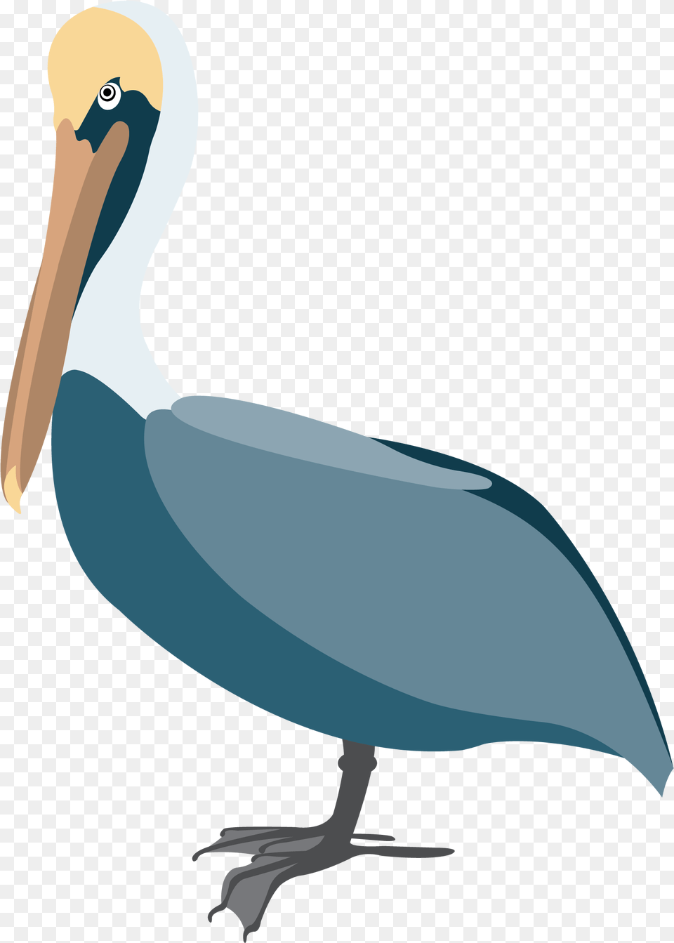 Pelican Vector Clip Art Pelican Vector, Animal, Bird, Waterfowl Free Png Download