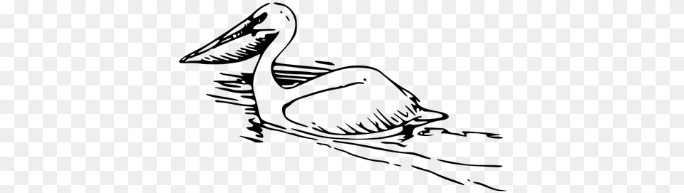 Pelican Vector Image Pelicans Clipart, Gray Free Transparent Png