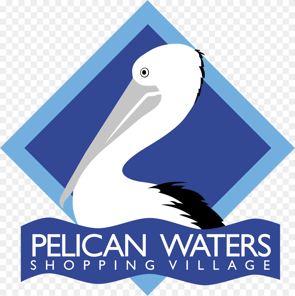 Pelican Waters Shopping Centre, Animal, Bird, Waterfowl, Fish Free Transparent Png