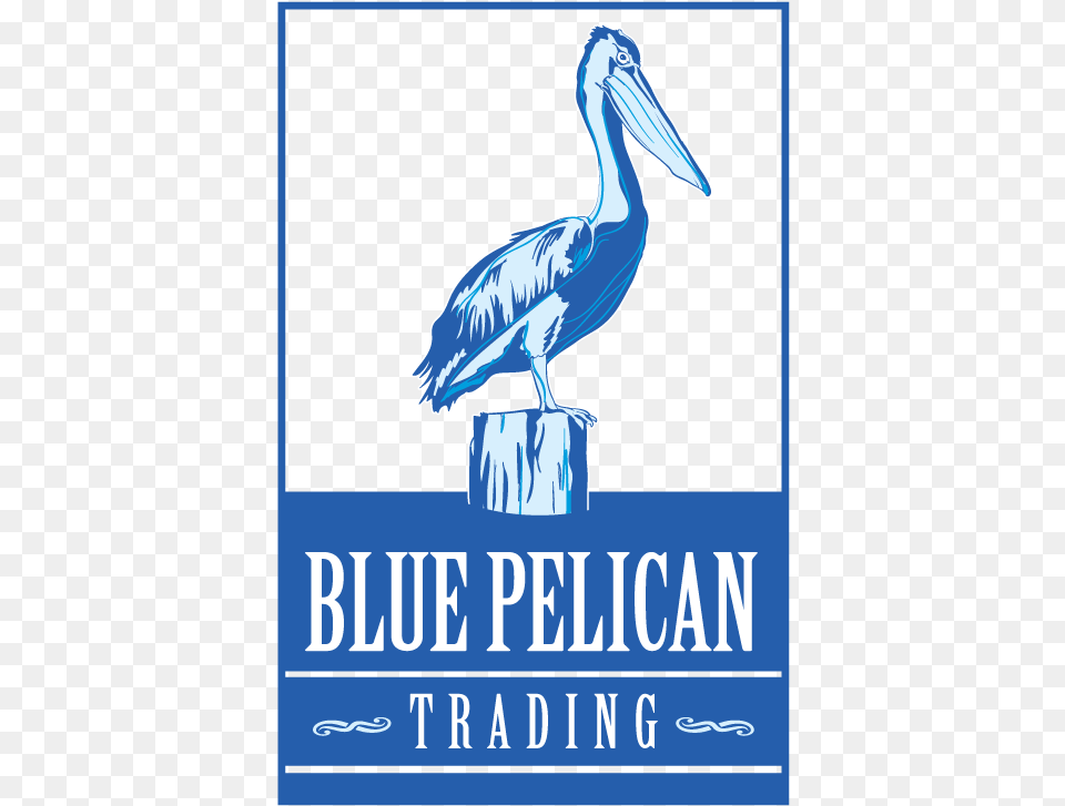 Pelicans Logo Addicted Saving Abel Album Cover, Animal, Bird, Waterfowl, Pelican Free Transparent Png