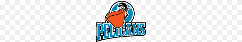 Pelicans Logo Vector, Animal, Beak, Bird, Dynamite Png