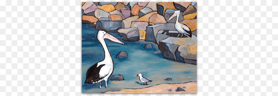 Pelicans Pelican, Animal, Beak, Bird, Waterfowl Free Png Download