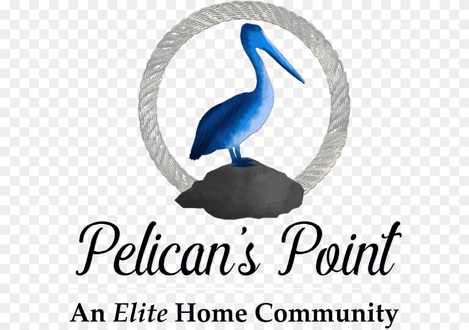 Pelicans Point Subdivision Src Pelican, Animal, Bird, Waterfowl Free Transparent Png