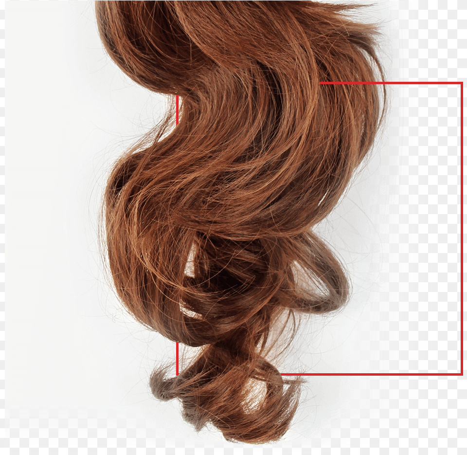 Peluca Lace Wig, Hair, Person, Ponytail, Adult Free Transparent Png