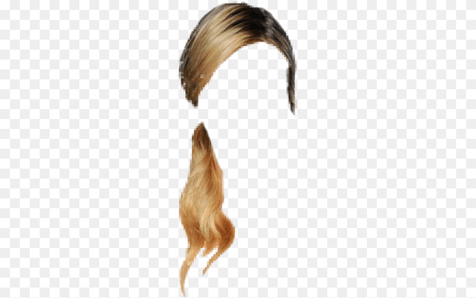 Peluca Rubia Blonde Hair Polyvore, Adult, Female, Person, Ponytail Free Png Download