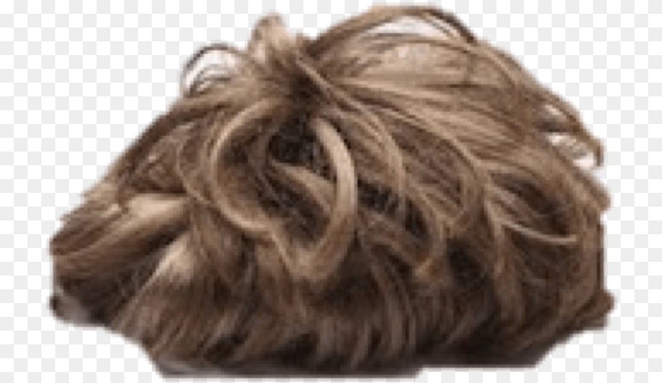 Peluquin, Hair, Person, Animal, Blonde Free Png Download