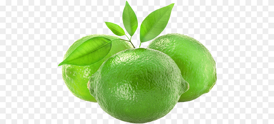 Pemberton Limes Lime, Citrus Fruit, Food, Fruit, Plant Png Image