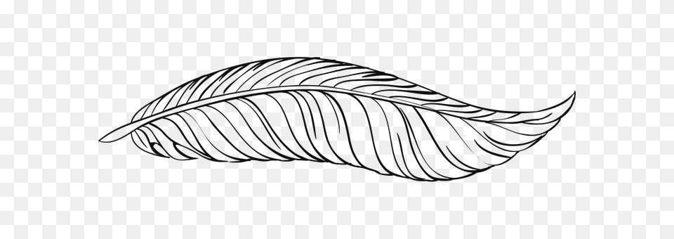 Pen Leaf, Plant, Art, Accessories Png Image