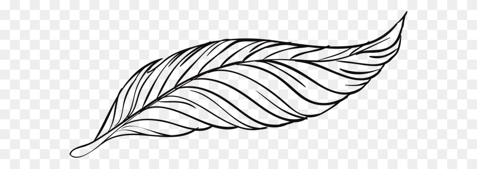 Pen Leaf, Plant, Art, Accessories Free Png Download