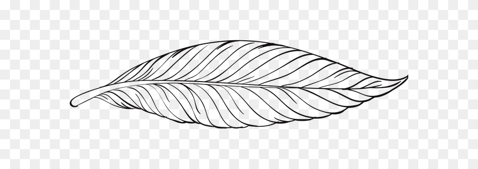 Pen Leaf, Plant, Animal, Fish Png Image