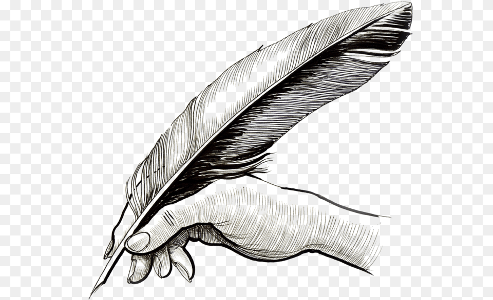 Pen, Art, Drawing Png