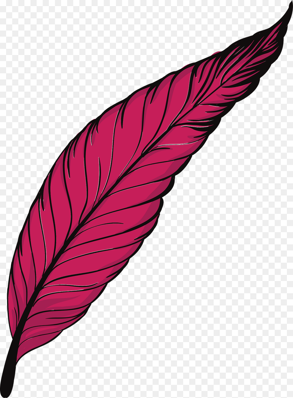 Pen Clipart, Flower, Leaf, Petal, Plant Png Image