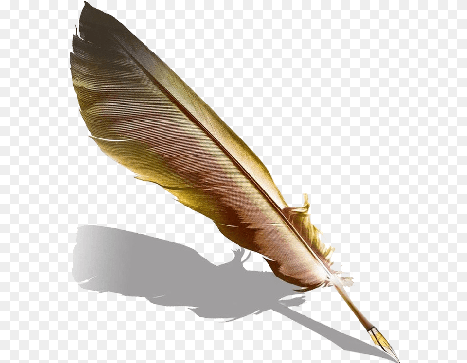 Pen Fountain Feather Quill Hd Quill Feather Pen, Bottle, Blade, Dagger, Knife Free Transparent Png