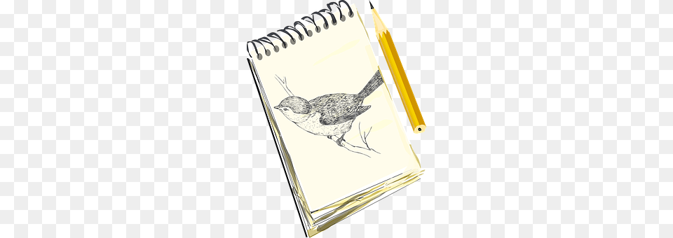 Pencil Animal, Bird, Wren Png