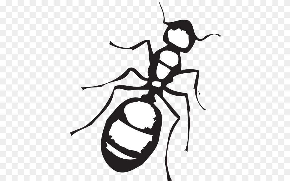 Pencil And In Color Ants Clipart Ant Clipart Black White, Animal, Insect, Invertebrate, Baby Png