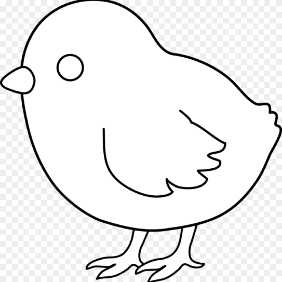 Pencil Hatenylo Com Cute Chicken Cartoon Clipart Black And White, Stencil, Baby, Person, Animal Free Transparent Png
