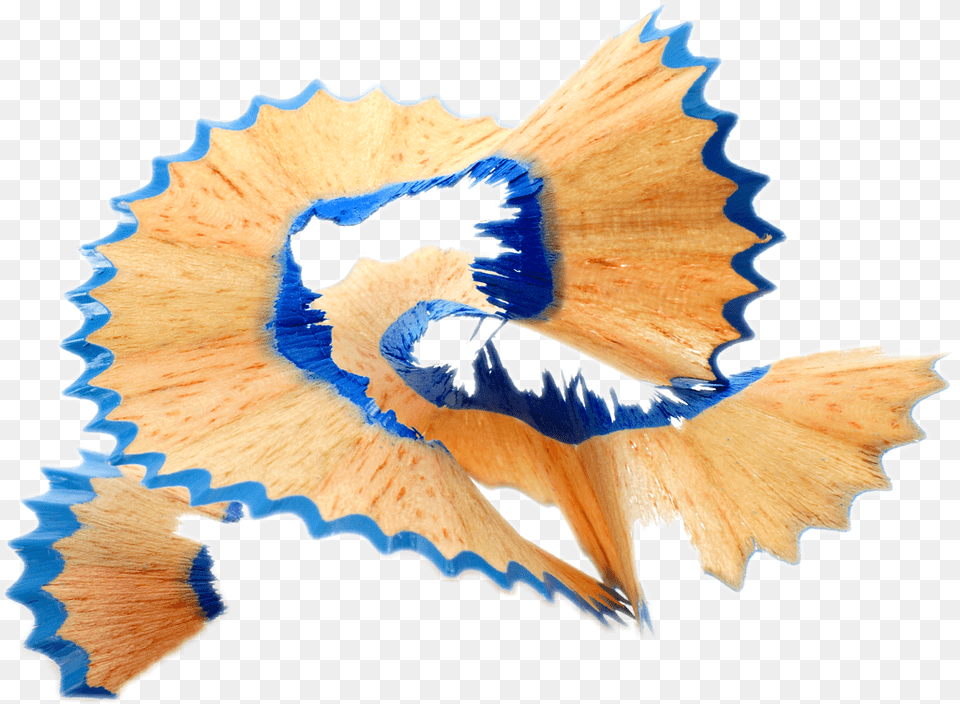 Pencil Pencilshavings Shavingfreetoedit Creative Strategy A Guide, Animal, Fish, Sea Life, Bird Free Transparent Png