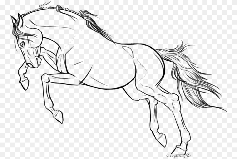 Pencil Sketch Of Horse Riding, Gray Png Image