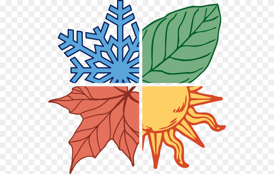 Pencil Sketch Of Sun Clipart, Leaf, Plant, Outdoors, Nature Png Image