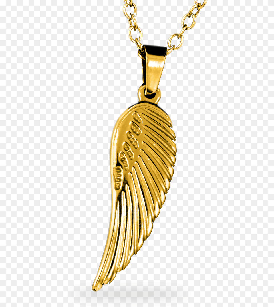 Pendant, Accessories, Gold, Jewelry, Necklace Free Png