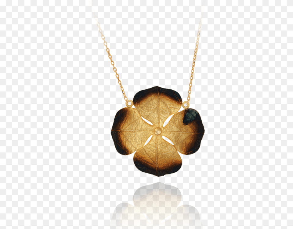 Pendant, Accessories, Jewelry, Necklace Free Transparent Png