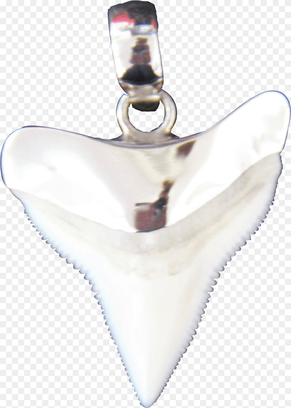 Pendant, Accessories, Earring, Jewelry, Gemstone Png