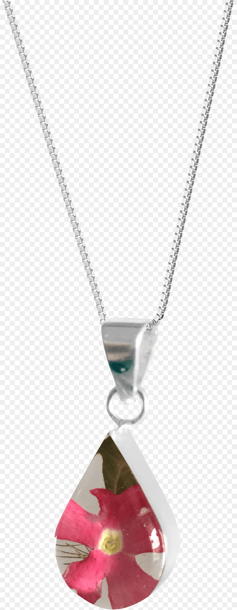 Pendant, Accessories, Jewelry, Necklace Free Png Download