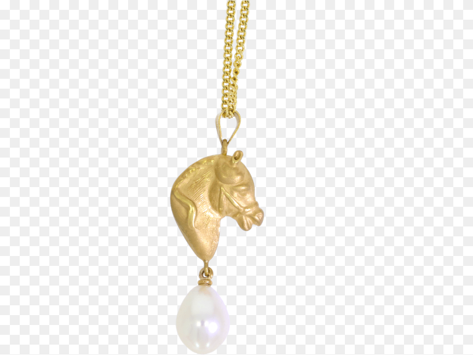 Pendant, Accessories, Jewelry, Necklace Png