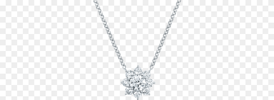 Pendant, Accessories, Diamond, Gemstone, Jewelry Free Png Download