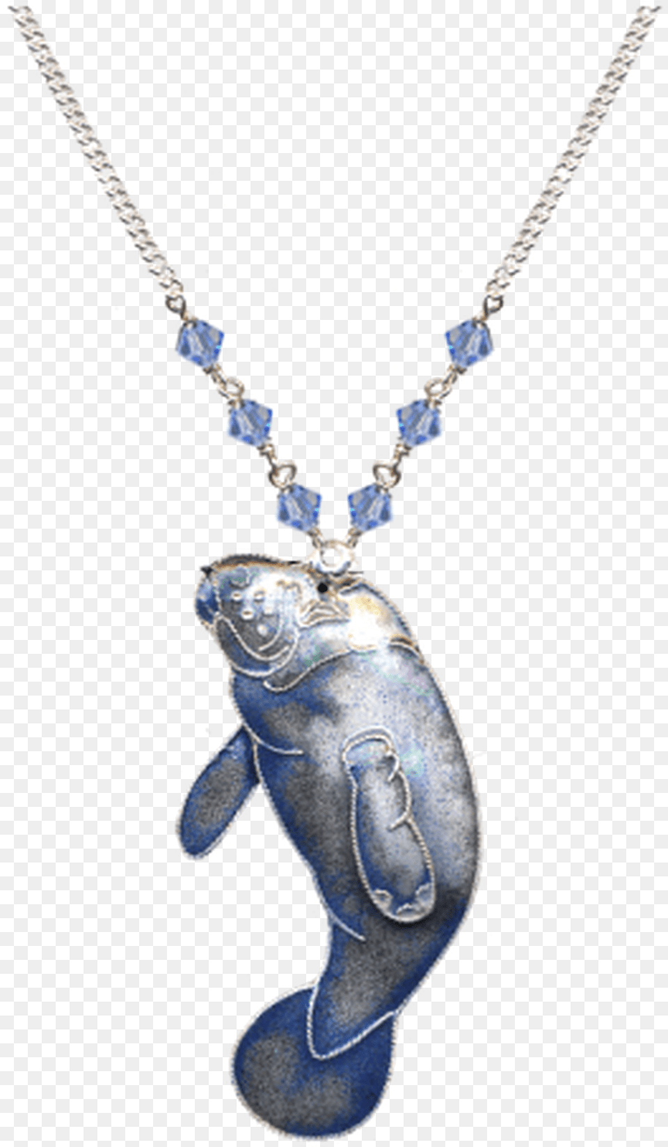 Pendant, Accessories, Jewelry, Necklace, Gemstone Png