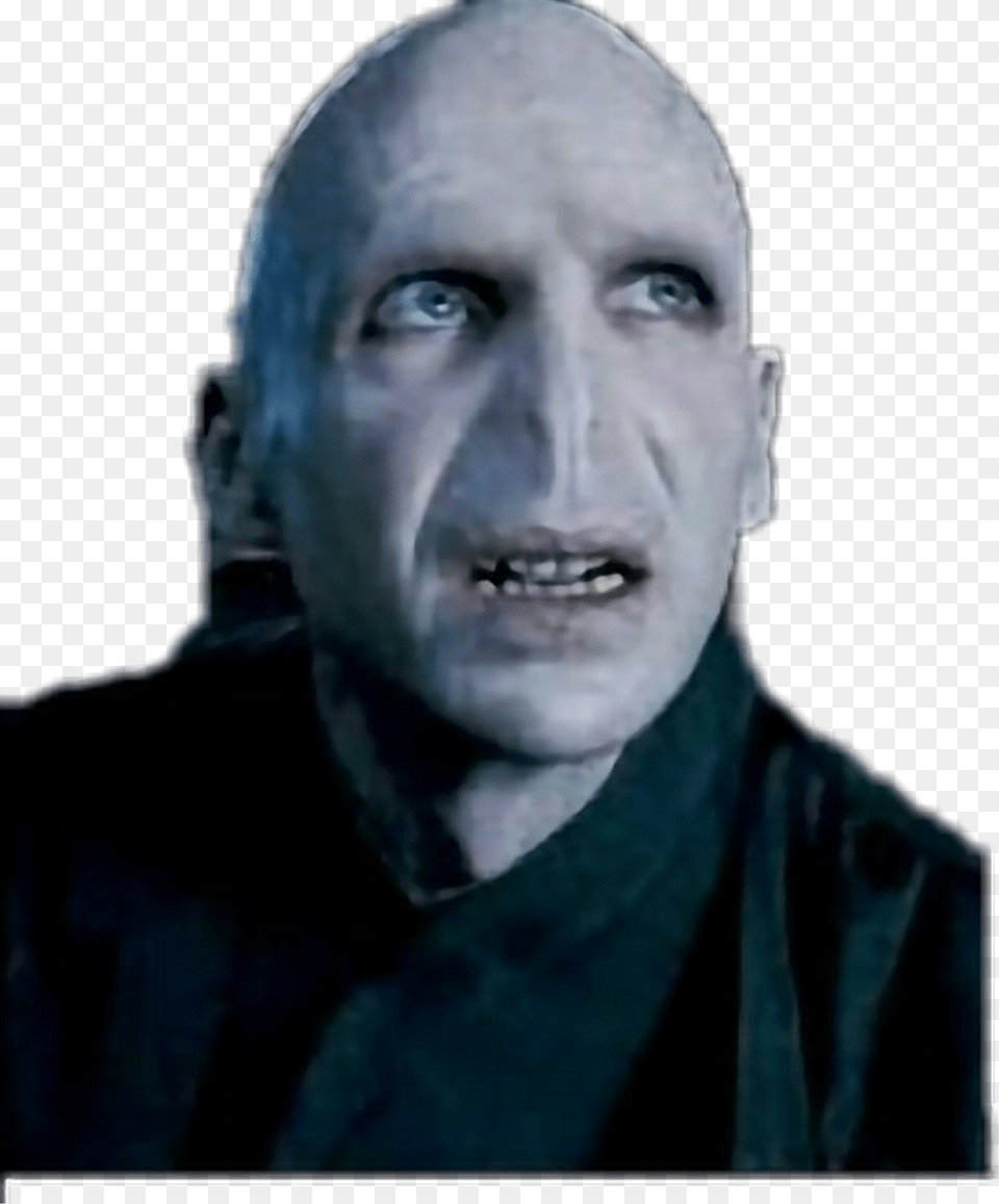 Penelope Clearwater And Percy Ralph Fiennes Voldemort, Adult, Face, Head, Male Free Png Download