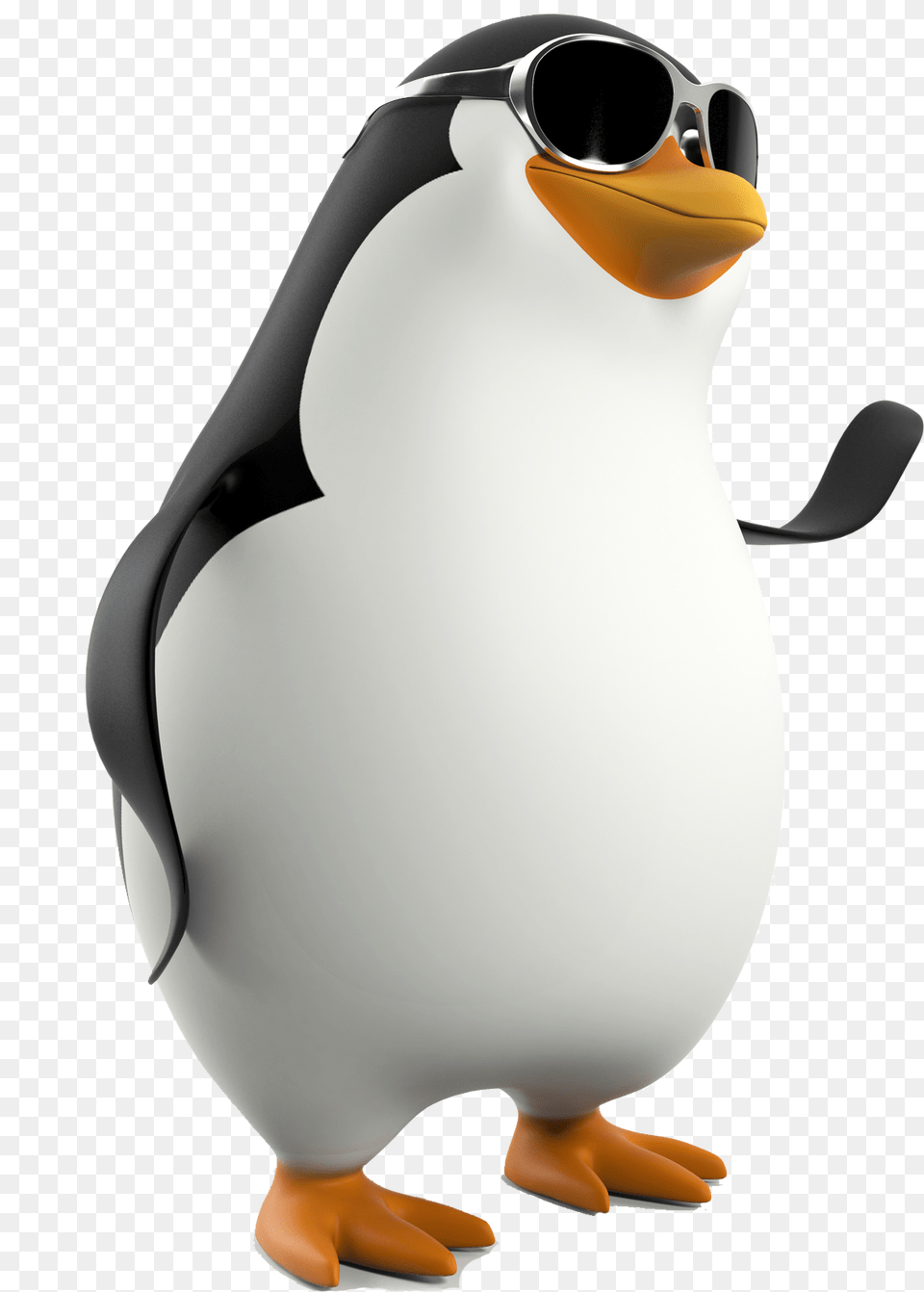 Penguin, Animal, Bird, Adult, Female Png Image