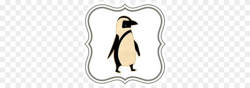 Penguin Animal, Bird Png Image