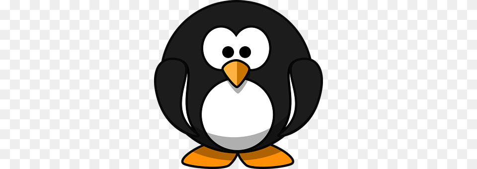 Penguin Animal, Bird, Nature, Outdoors Free Png