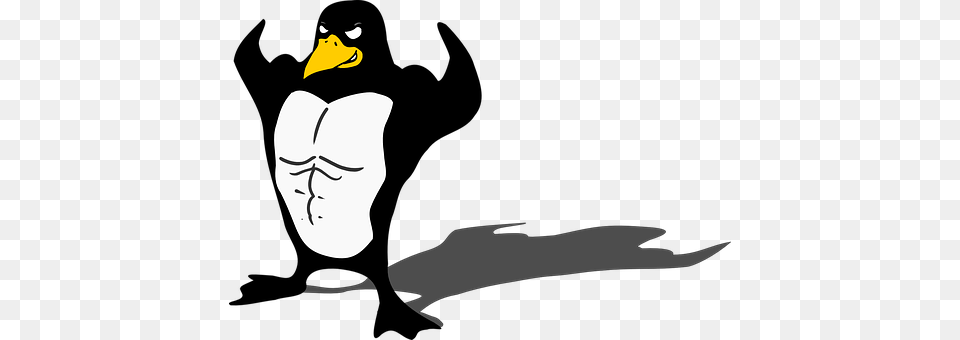 Penguin Animal, Beak, Bird, Face Free Transparent Png