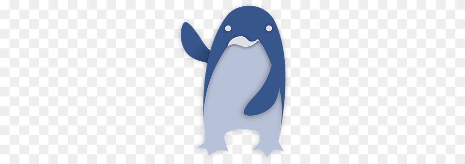 Penguin Animal, Sea Life, Mammal, Whale Png Image