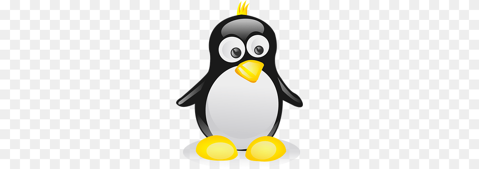 Penguin Animal, Bird, Nature, Outdoors Free Png Download