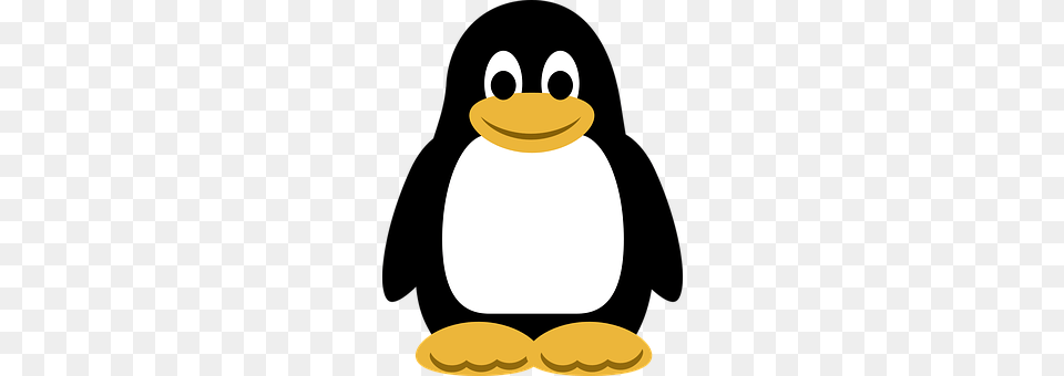 Penguin Winter, Snowman, Snow, Outdoors Free Png