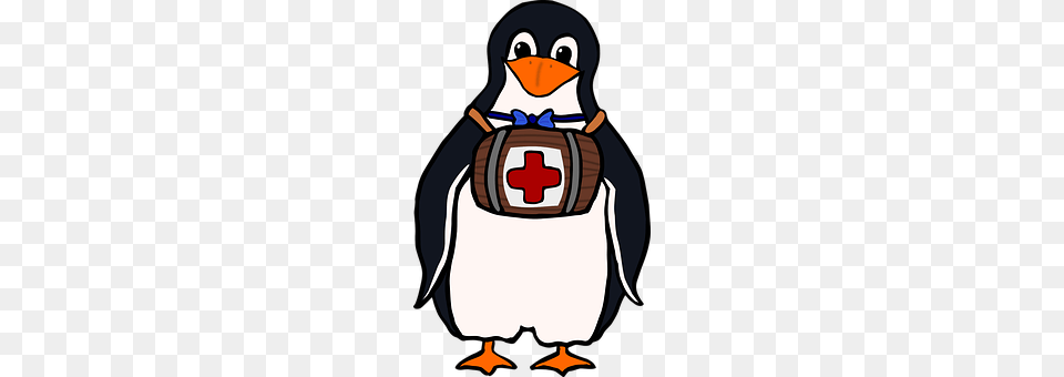 Penguin Animal, Bird, Baby, Person Free Transparent Png