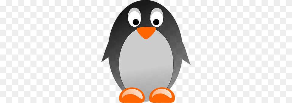 Penguin Animal, Bird, Bear, Mammal Free Transparent Png