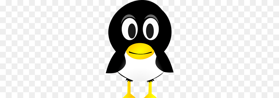 Penguin Lighting Free Transparent Png