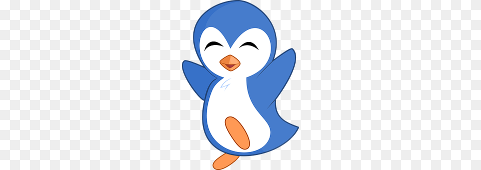 Penguin Outdoors, Winter, Nature, Face Png