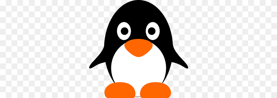 Penguin Free Png Download