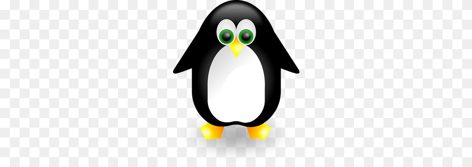 Penguin Animal, Bird, Clothing, Hardhat Png Image