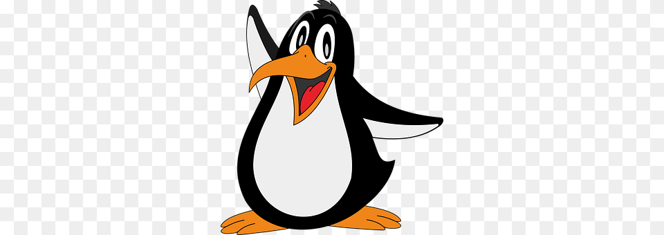Penguin Animal, Beak, Bird Free Transparent Png
