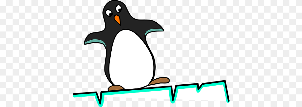 Penguin Animal, Bird, Fish, Sea Life Png Image