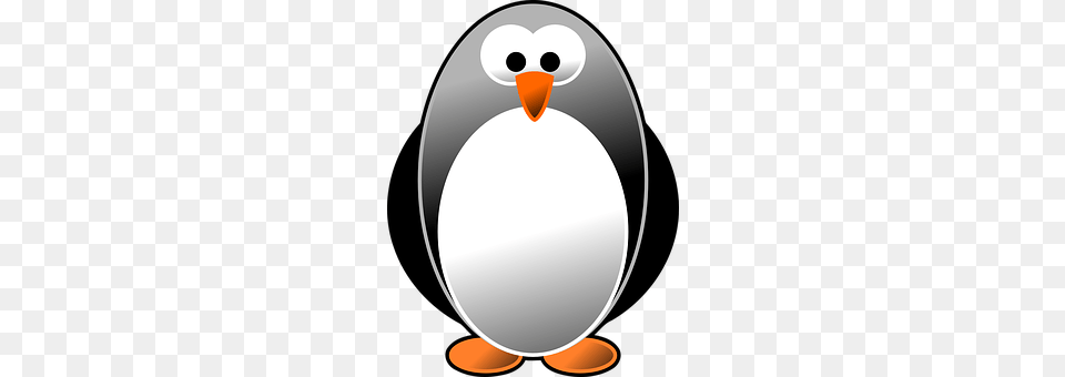 Penguin Animal, Bird, Disk Free Transparent Png